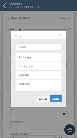 form_209-03_zoom65