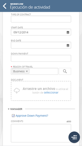 form_209-04_zoom65